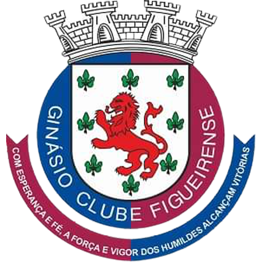 Ginásio Figueirense badge