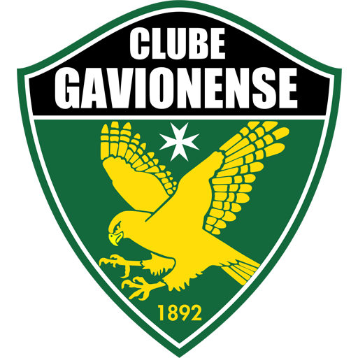 Gavionenses badge