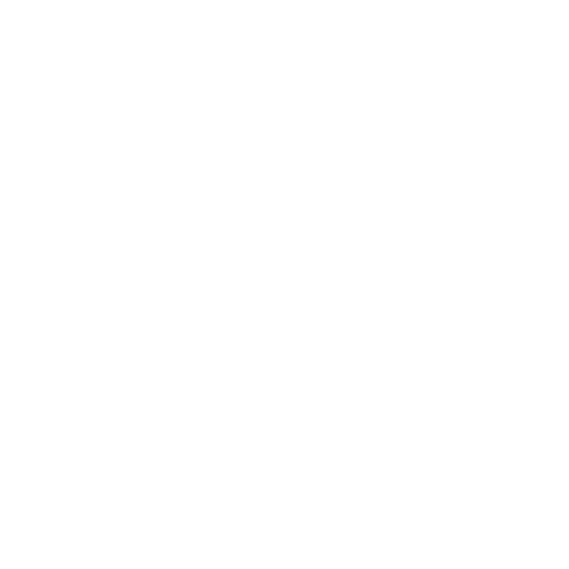 FT 1844 Freiburg badge