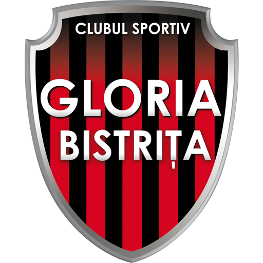 Gloria Bistrița badge