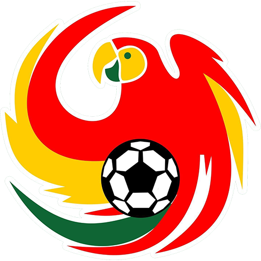 União São João de Araras badge