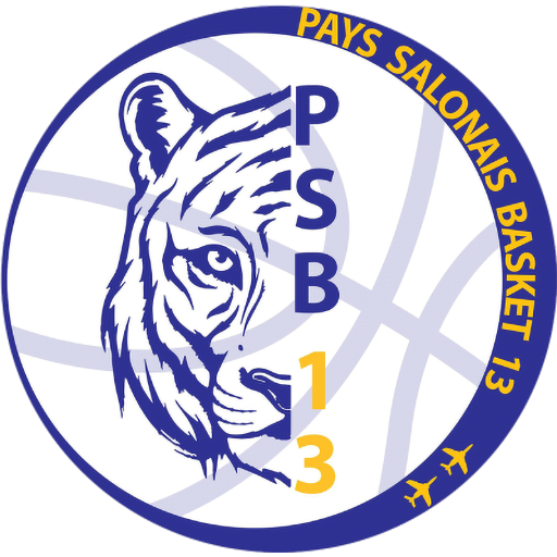 Pays Salonais Basket 13 badge