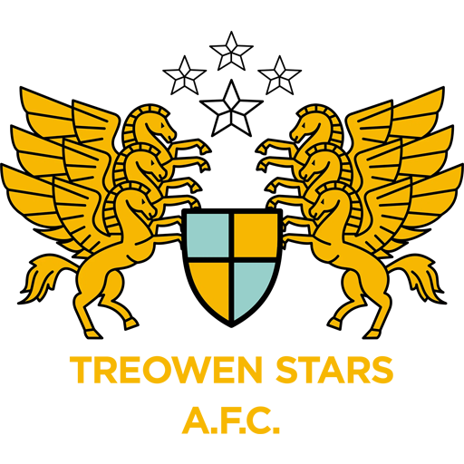 Treowen Stars badge