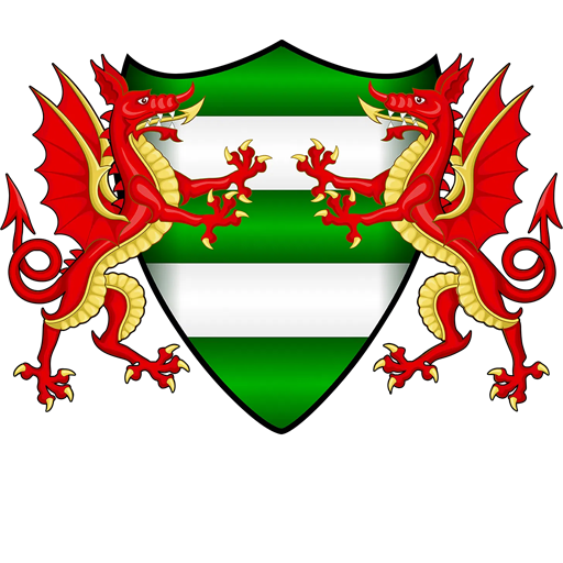 Brickfield Rangers badge