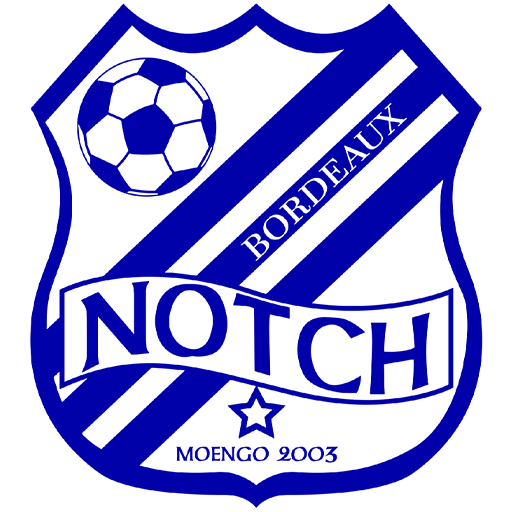 Notch badge