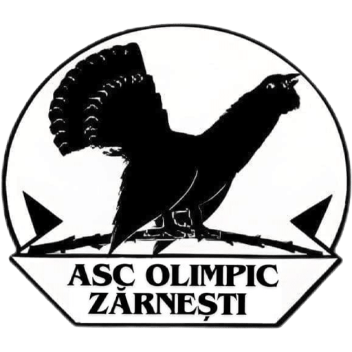 Olimpic Zărnești badge