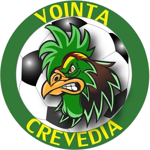 Voința Crevedia badge