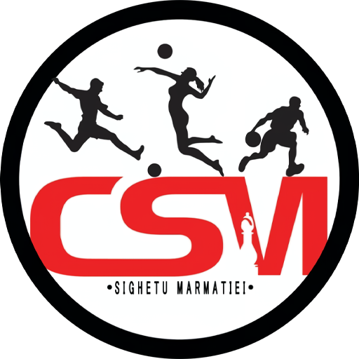 Sighetu Marmației badge