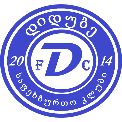 Didube 2014 Tbilisi badge