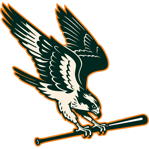 Boston Hunters badge