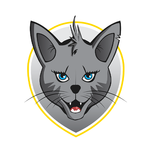Radomlje Women badge