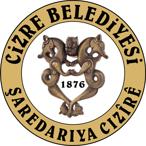 Cizre Belediyespor badge