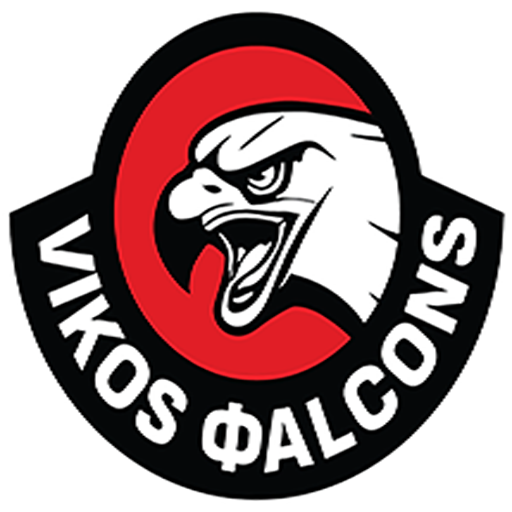 Vikos Falcons BC badge