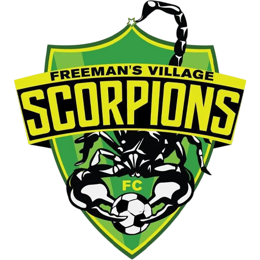Freeman's Village Scorpions badge