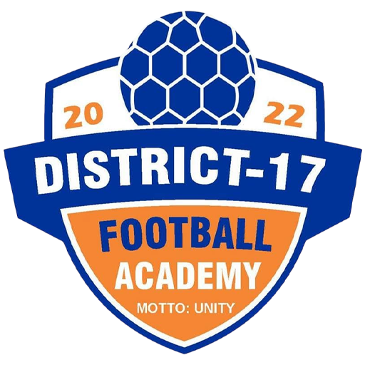 District 17 badge